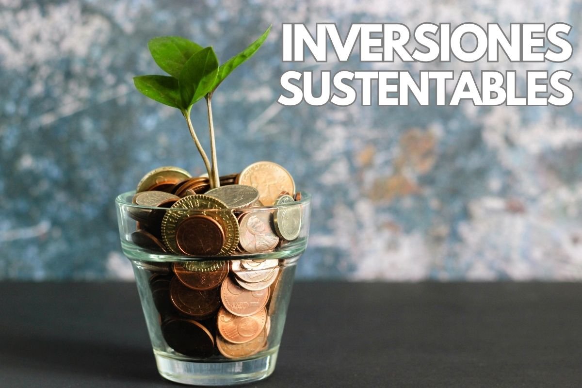 Imagen destacada del articulo: Los mejores ETFs para inversiones sostenibles y el sector ecológico