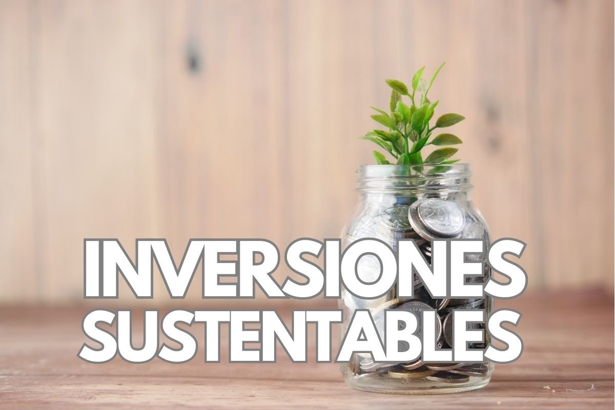 Imagen destacada del articulo: Inversión Sostenible en Mercados Emergentes: La Nueva Tendencia que te Hará Rico